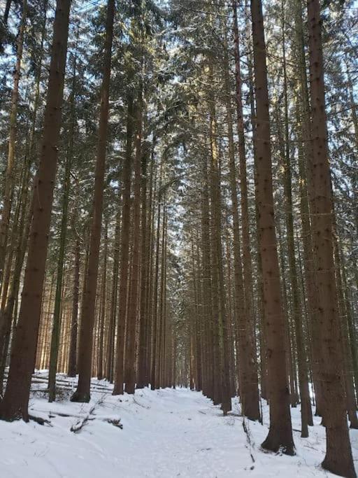 Im Schoenen Fichtelgebirge Апартаменты